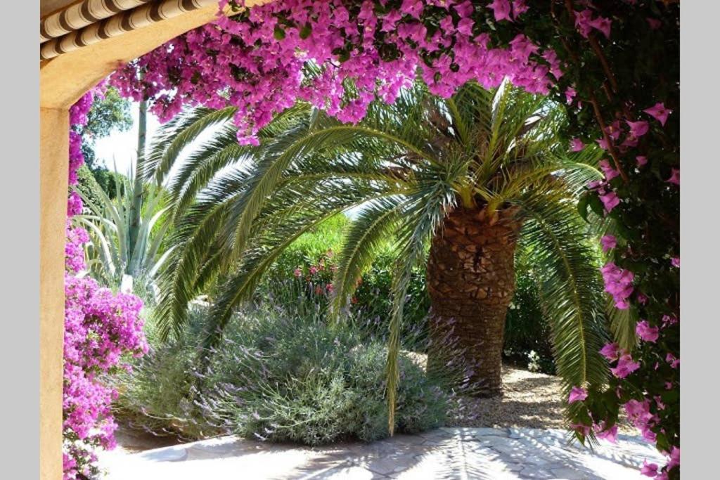 Villa Lou Pei 2 à Saint-Peïre-sur-Mer Extérieur photo